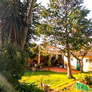  Bed & Breakfast Lugar Saloio Portugal